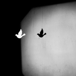 如果我能看见鬼，那么我就是那只鬼