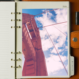 공기가 좋았던 날