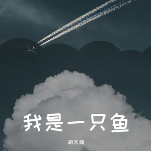 我是一只鱼（翻自 任贤齐）