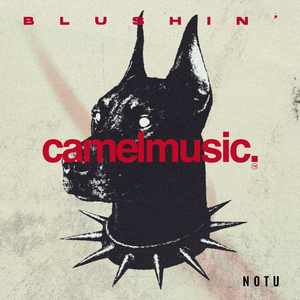 Blushin' (Extended Mix)