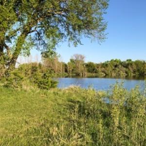 Lost Lake Lanes (feat. Nana Rosary)