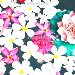 温和面部按摩梦想