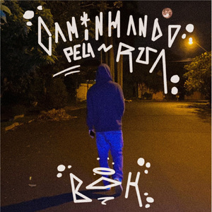 Caminhando pela Rua