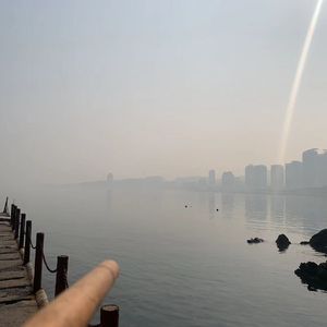 午后停不住的思绪