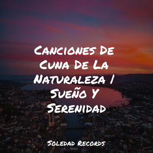 El Bebé Ahora Duerme