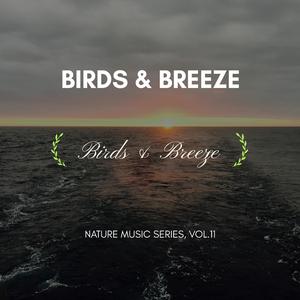 Piano Melodies In Night (Original Mix)