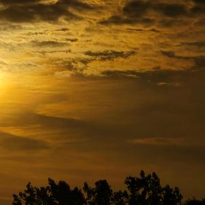 Christmas In El Nido