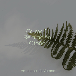 Ritmos Apresurados de Paz