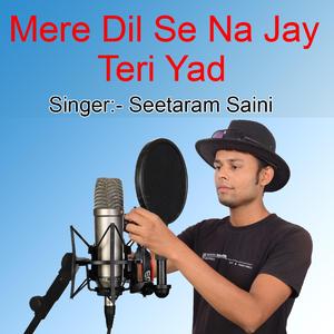 Mere Dil Se Na Jaye Teri YAD Bewfa