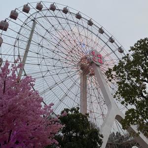 夏悸（温柔版）