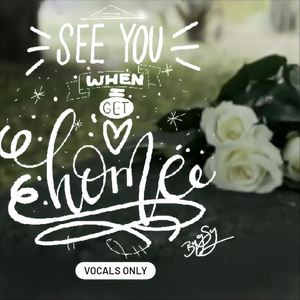 See You When I Get Home (Vocals Only)