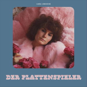 Der Plattenspieler