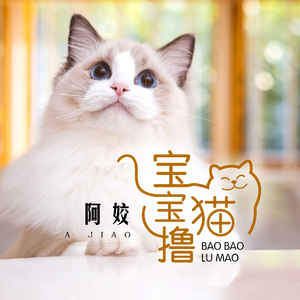宝宝撸猫（伴奏）