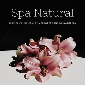 Desintoxicação Corporal