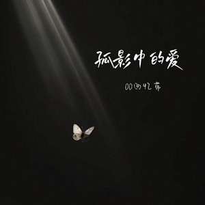 孤影中的爱