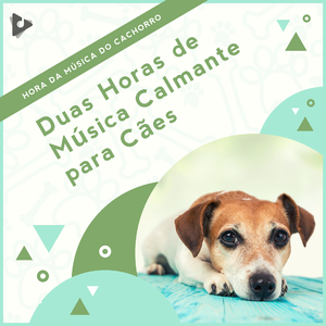 Música relaxante para cães