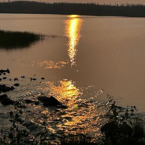 Consumed By Darkness 5