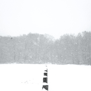 새하얀 (feat. Yuu)