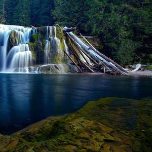 交通局股份计划的