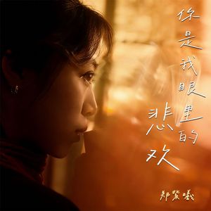 你是我眼里的悲欢