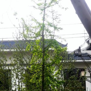 鬼屋八音盒