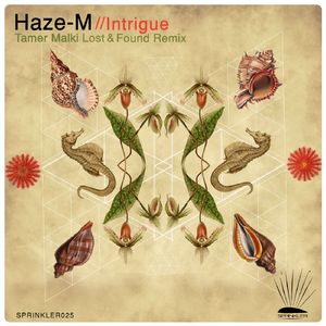 Intrigue (Tamer Malki Lost & Found Remix)
