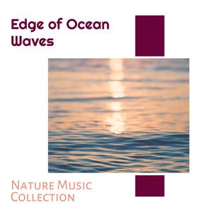 Awakened Pond New York