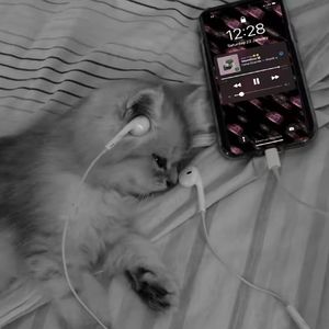 “片尾” SASIOVERLXRD&BOBBYNOPEACE Type Beat