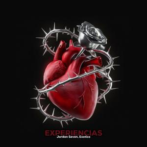 Experiencias