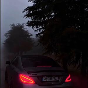 Government Hooker (降调版)