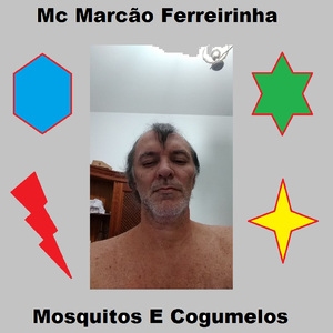 Mosquito Chato