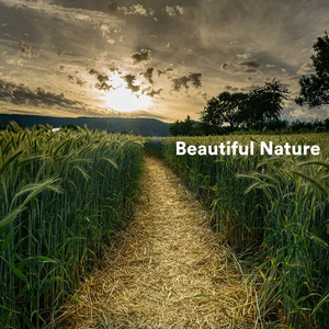 Rain Under a Steel Bridge