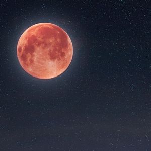 flashlight （Prod. SHYY x Kuhl）