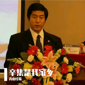 辛集是我家乡