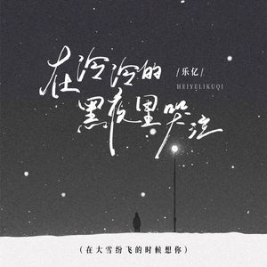 在冷冷的黑夜里哭泣(大雪纷飞的时候想你)