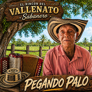 Pegando Palo