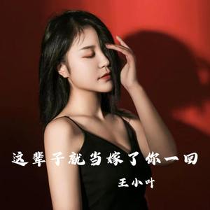 这辈子就当嫁了你一回