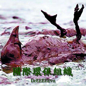 国际环保组织（prod.BLACKFAT洪汝超）