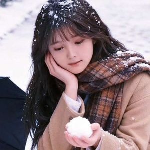 雪落的声音-小宁哥