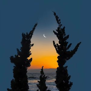 在思念的海洋中