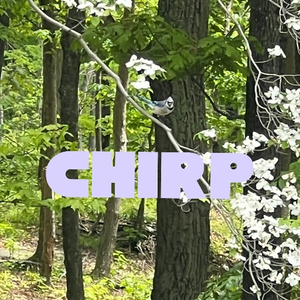 Chirp