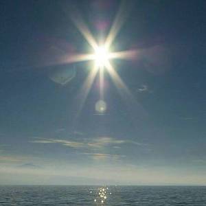 一个不爱说话的姑娘