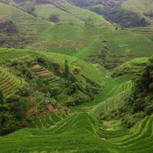 龙脊上的红瑶寨（MMM）