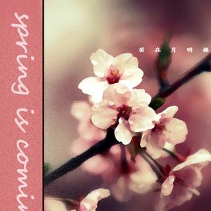 凉风(喵步小雨中remix)