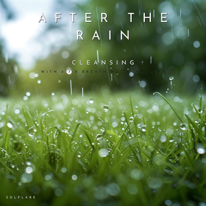 Guided Pranayama (4-7-8 Breathing)