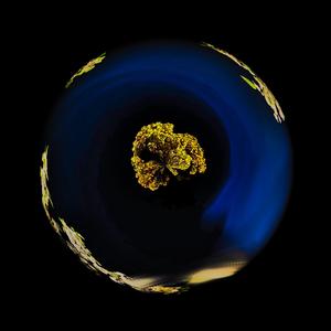 Gold (feat. Patrick Murphy)