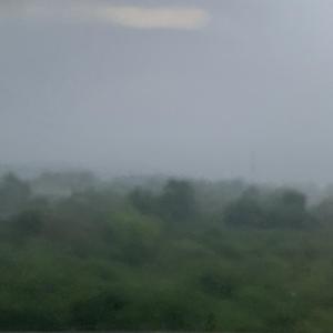 关于郑州的记忆