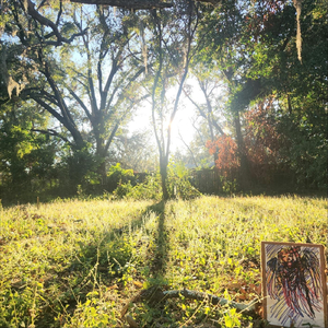 We can do this in reverse!