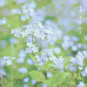 슬픈 봄의 위로