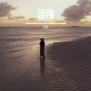 接踵